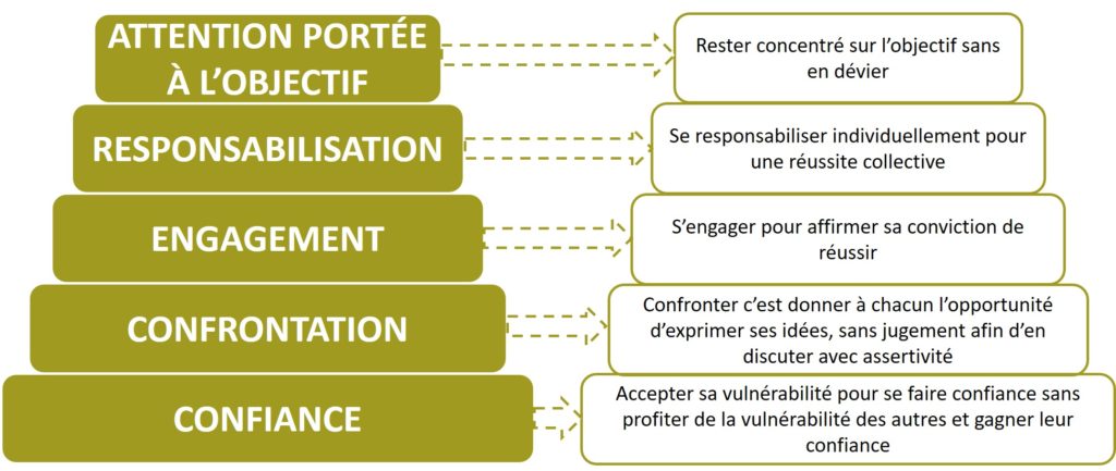 Séminaire équicoaching Team Building